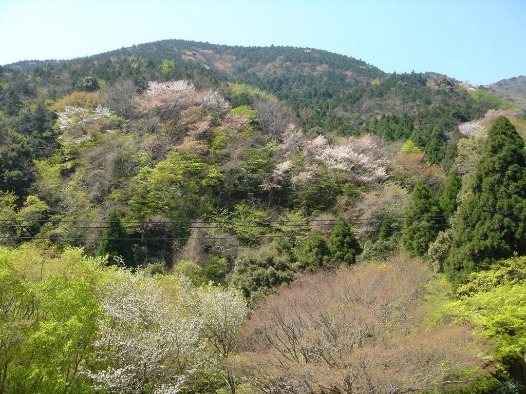Kamata Hotel Yugawara Bagian luar foto