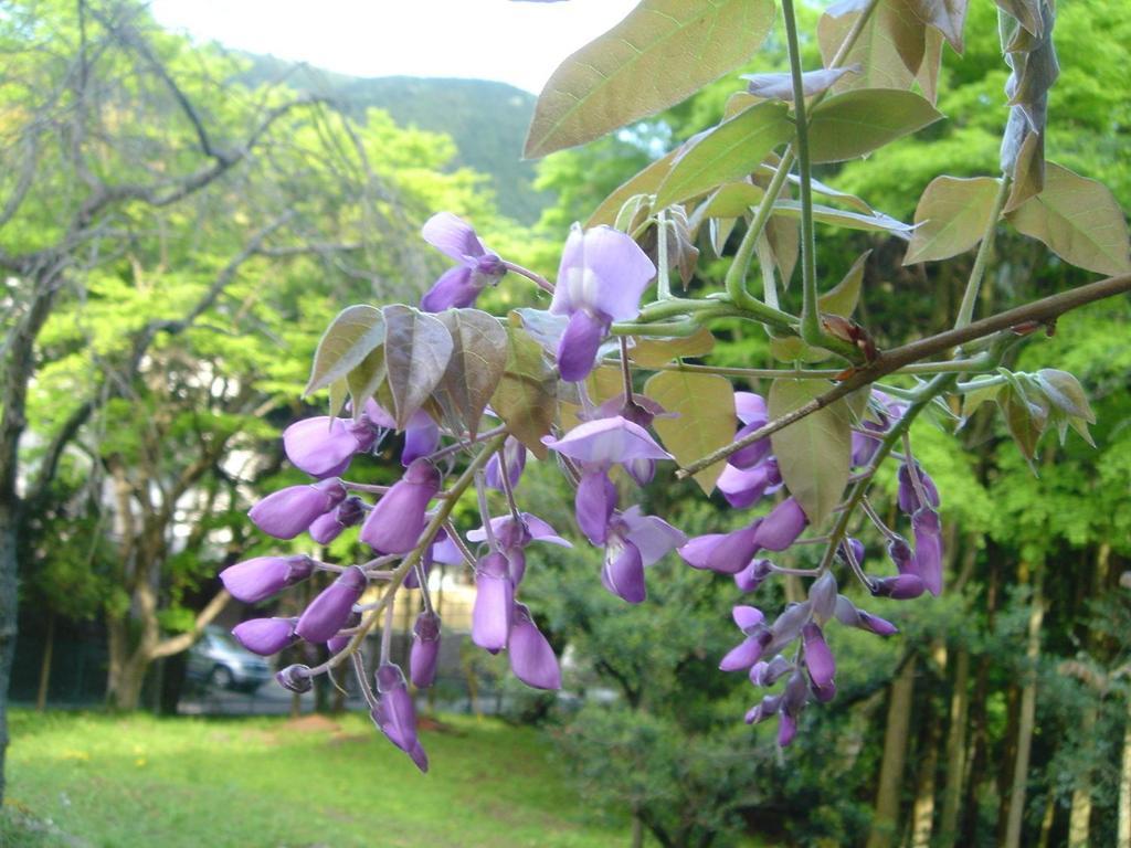 Kamata Hotel Yugawara Bagian luar foto